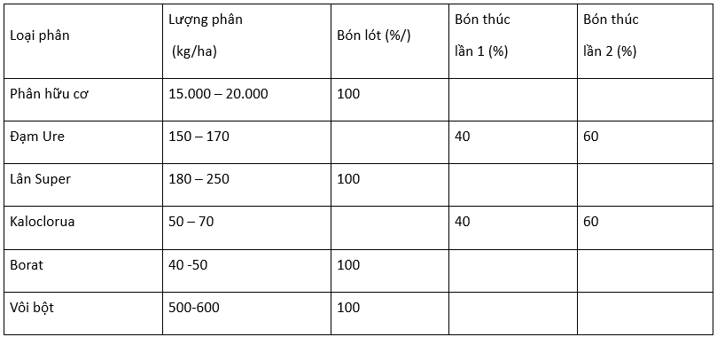 011724 quy trinh trong cai cu 2