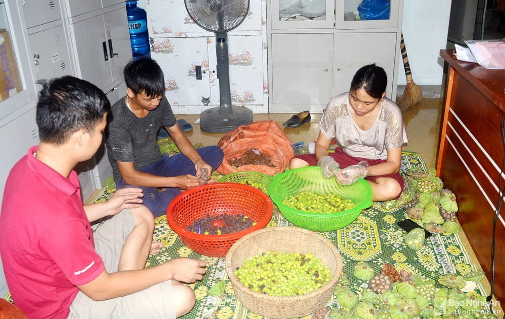 100919 chuong trinh ocop 2