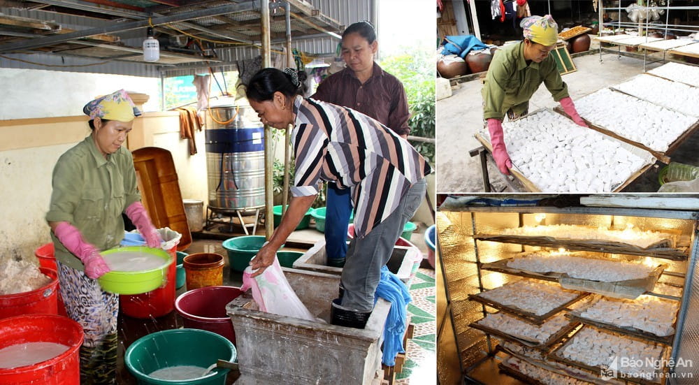 100919 chuong trinh ocop 3