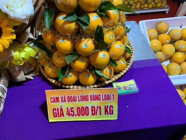 122019 cam xa doai 3