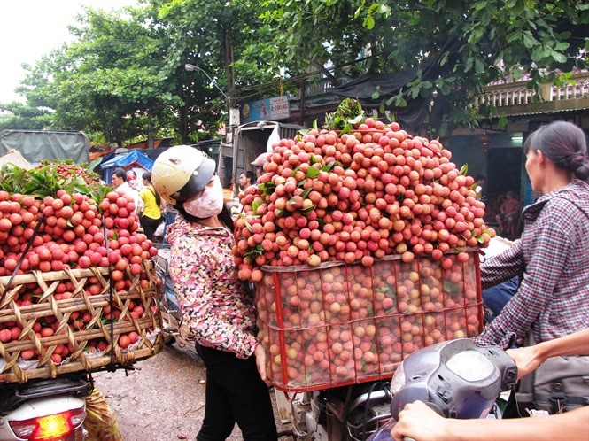 130619 vietnam dung thu 2 the gioi xk vai 2