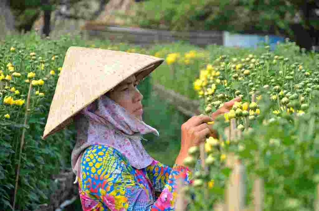 190110 lang hoa hoi ha 3