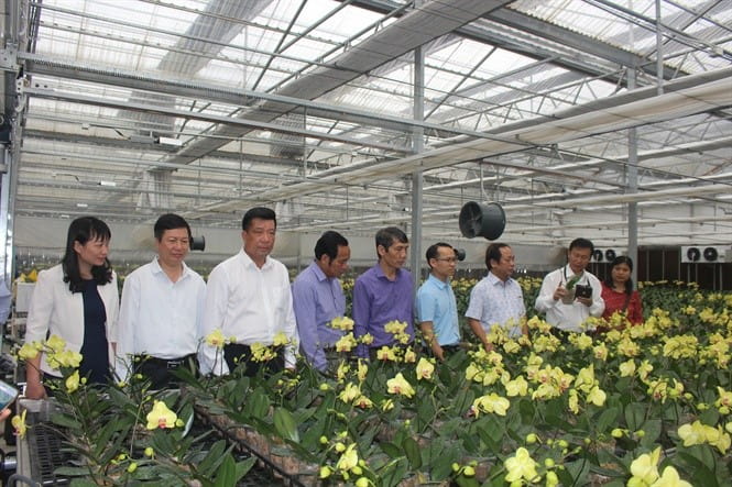 190411 giai phap sx hoa ben vung 3