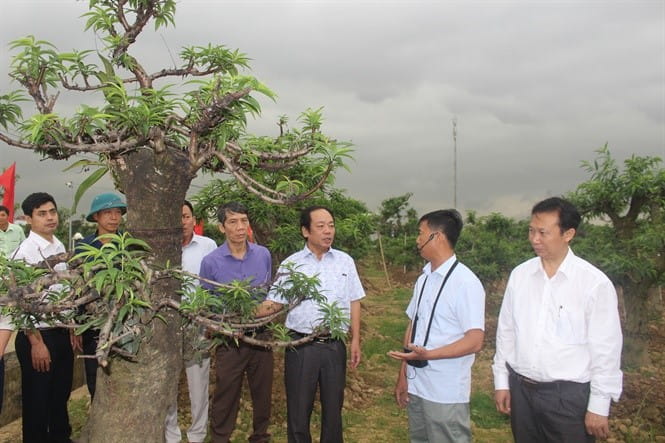 190411 giai phap sx hoa ben vung 4