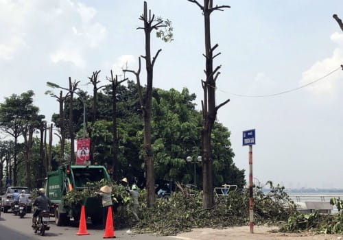 72319 ha noi di chuyen hoa sua 1