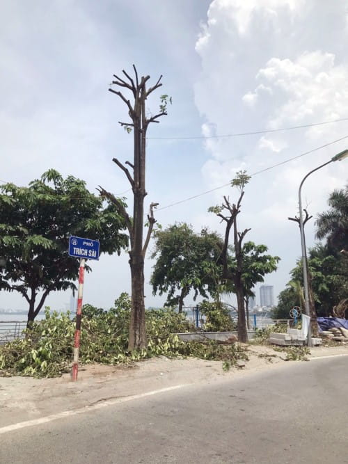 72319 ha noi di chuyen hoa sua 2