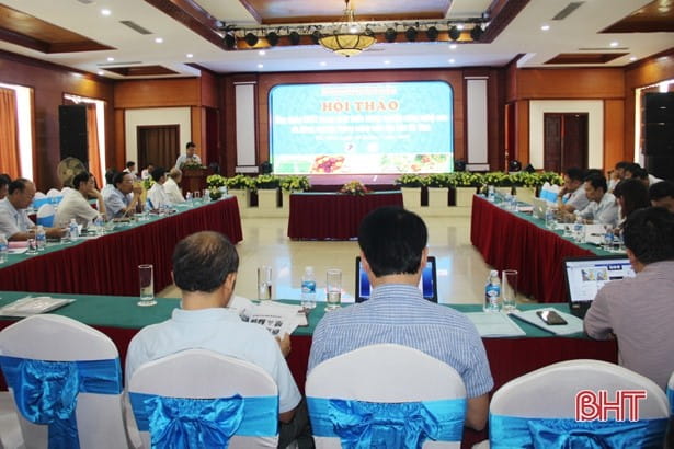 73119 phat trien nong thon ha tinh 1