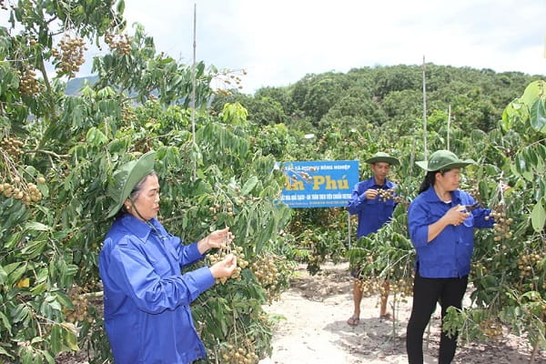 80219 nganh hoi nhan song ma 1