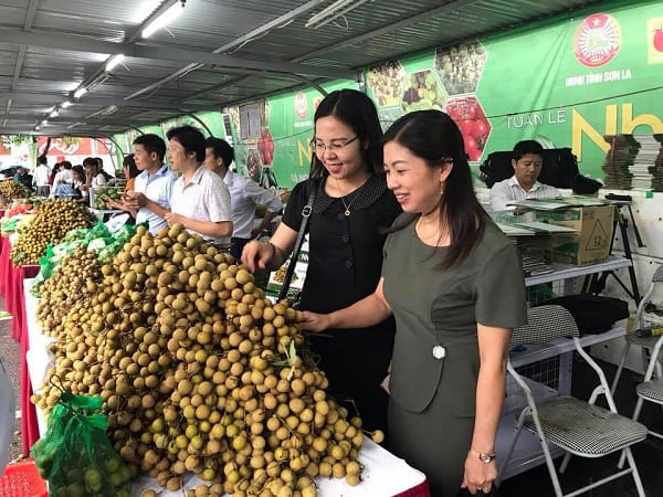 80219 nganh hoi nhan song ma 2