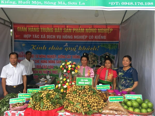 80219 nganh hoi nhan song ma 4