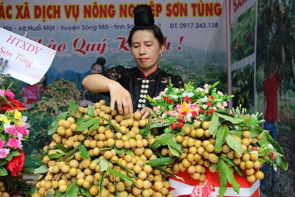 80519 son la khoi hanh xk nhan 3