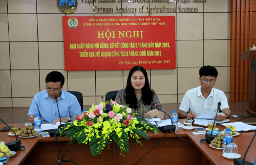 81619 cong doan 1