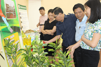 91619 hoi nghi vu dong 3
