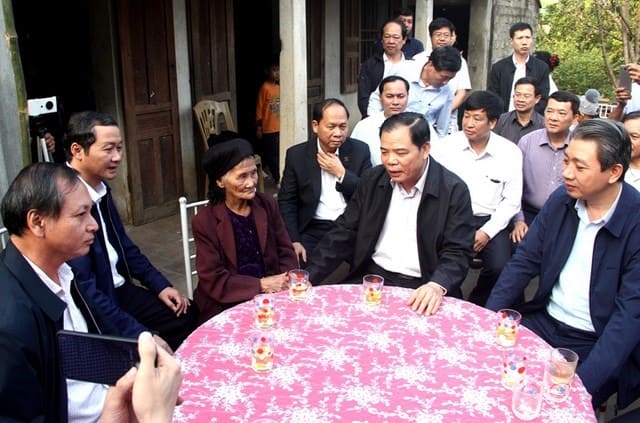 11620 bo truong trong cay 1