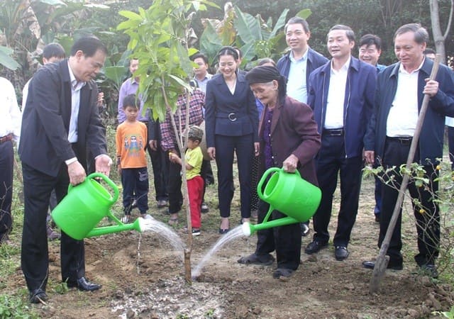 11620 bo truong trong cay 3