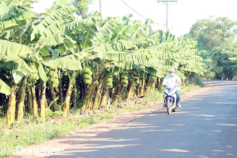 30420 tinh duong dai 1