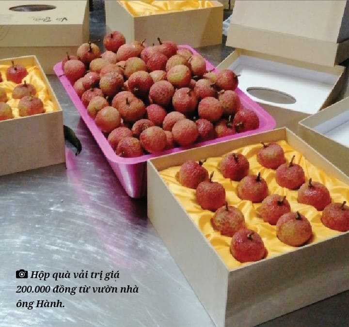 61620 nha khoa hoc nong dan 4