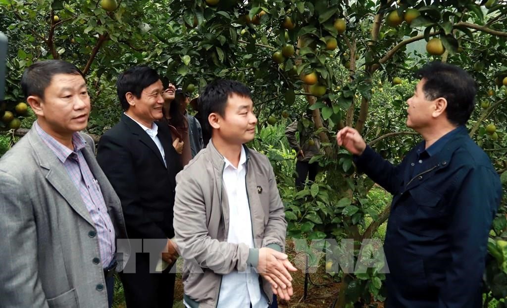 010621 cac dai bieu tham quan mo hinh