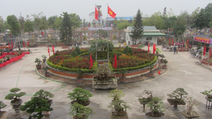 010721 tung bung le hoi hoa 1