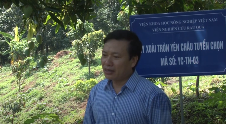 012821 xoai tron yen chau