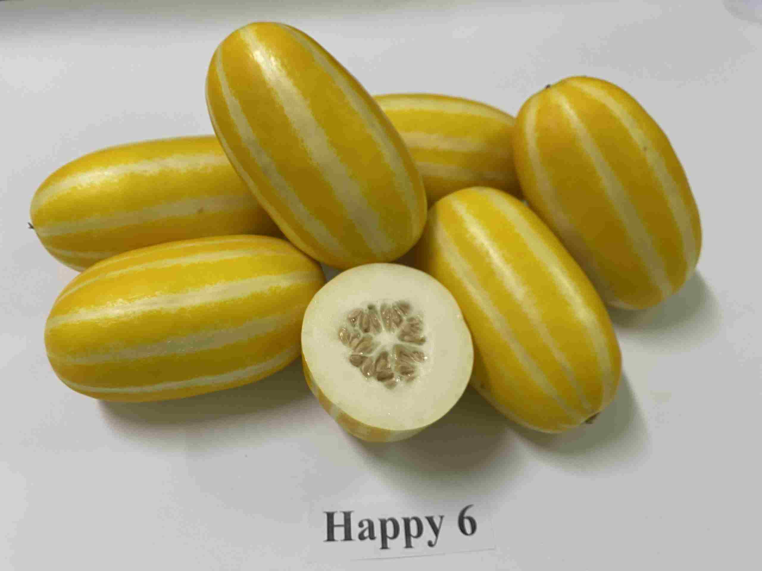 072321.happy 6.2