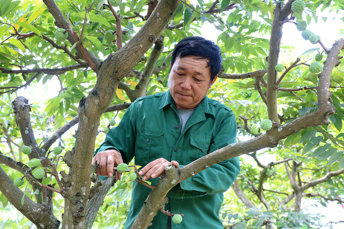 091321 nong dan doi doi 1