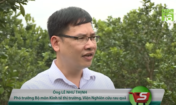 101921 thi truong buoi