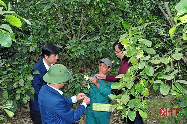 31821 thu phan bo sung 3
