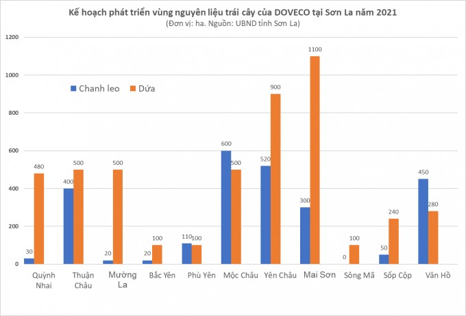 32421 tiem nang tu cay dưa 1