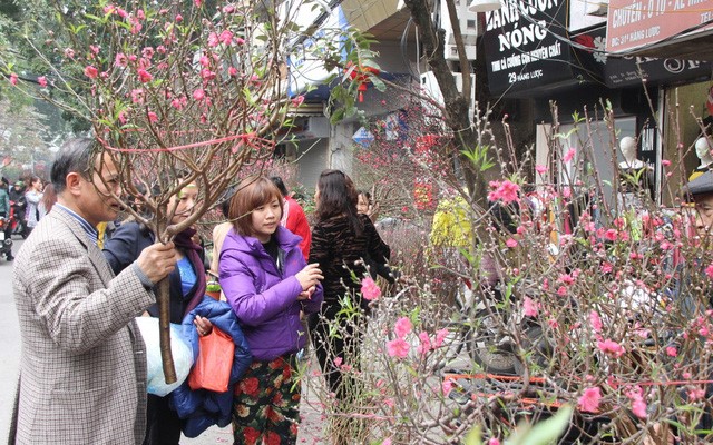 011123 cach chon dao quat 2