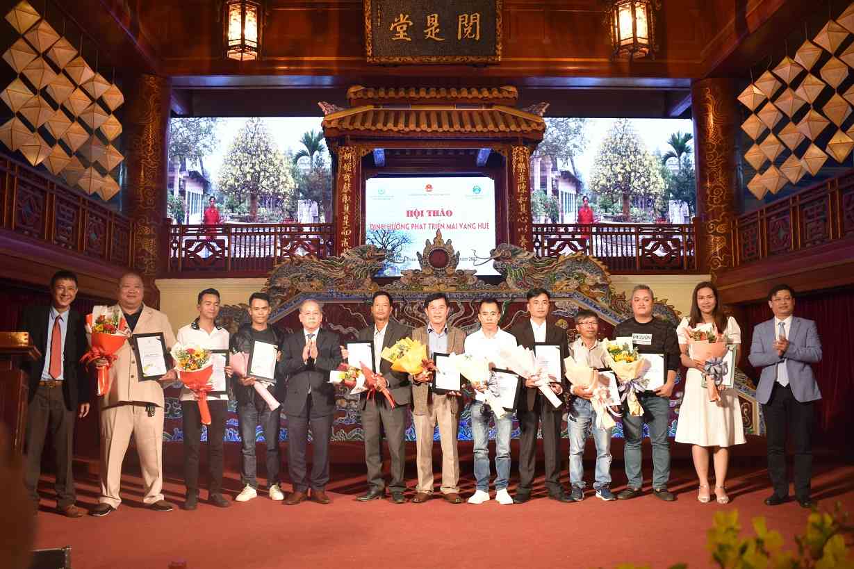 021422 mai vang hue 15