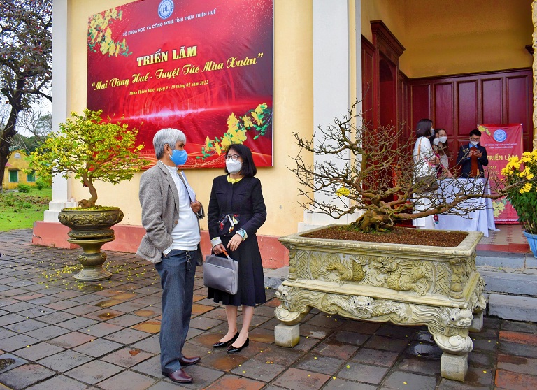 021422 mai vang hue 9