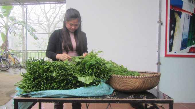 041422 co mot vung rau vi nhu Dalat 1