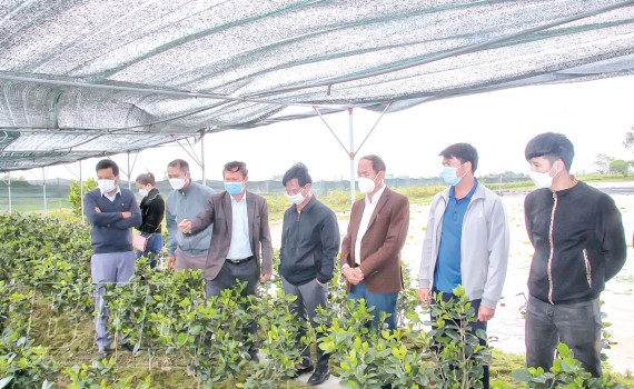 041422 huong toi sp ocop 1