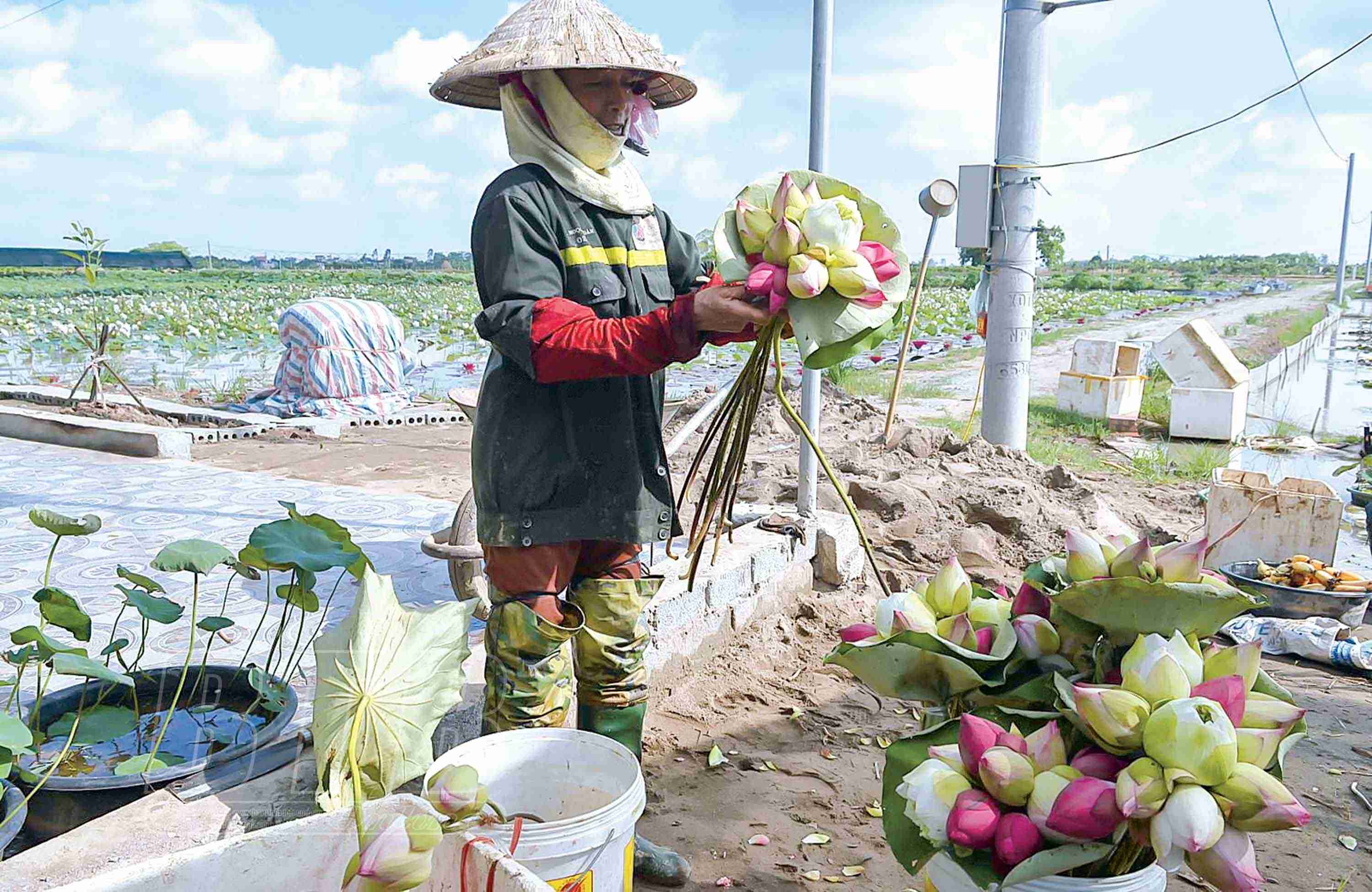 041422 huong toi sp ocop 2