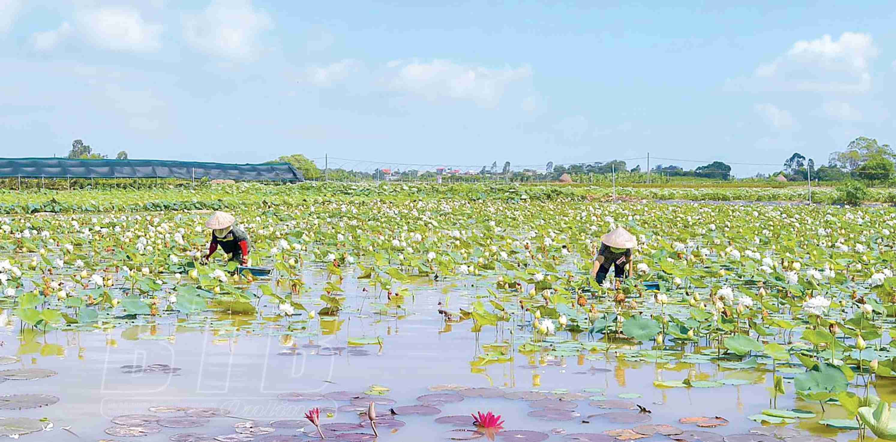 041422 huong toi sp ocop 3