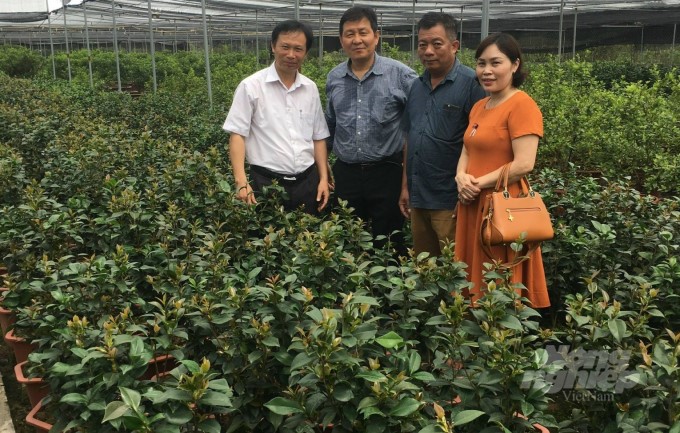 051322 bao ton hoa tra 2