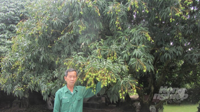 051322 vai lai chin som 1