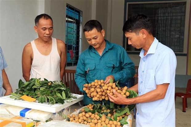 062422 hieu qua vuot troi 2