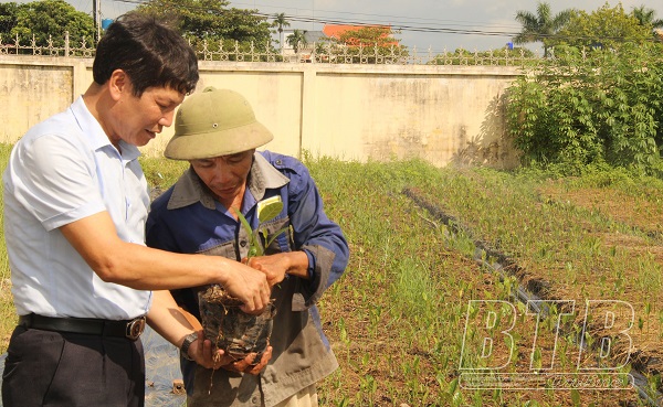 090722 ha giang 2