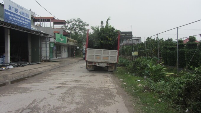 120222 rao quanh thi truong hoa tet 3