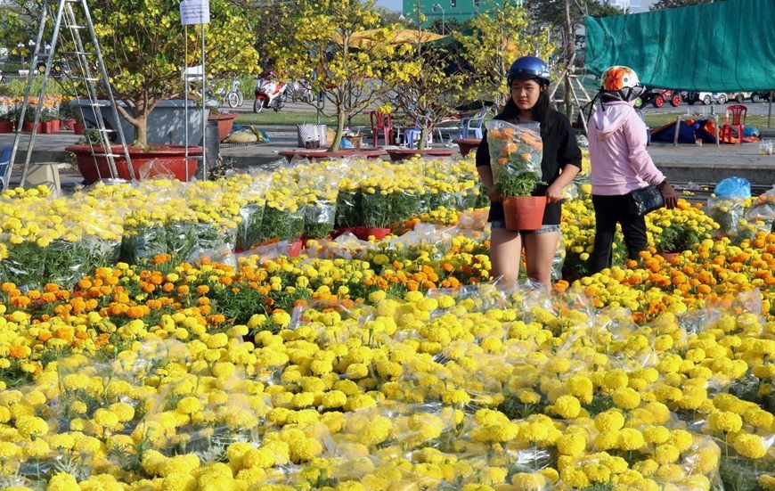 120922 thi truong hoa tet 2023