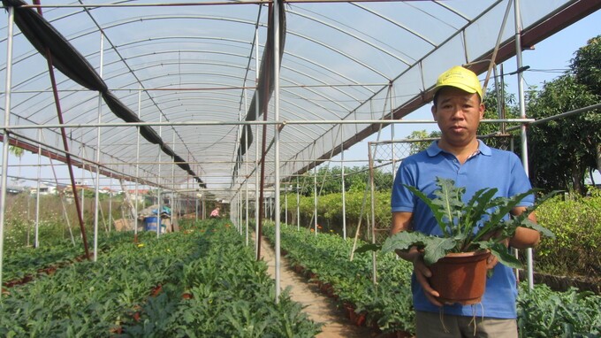 122922 hoa dong tien tet 2