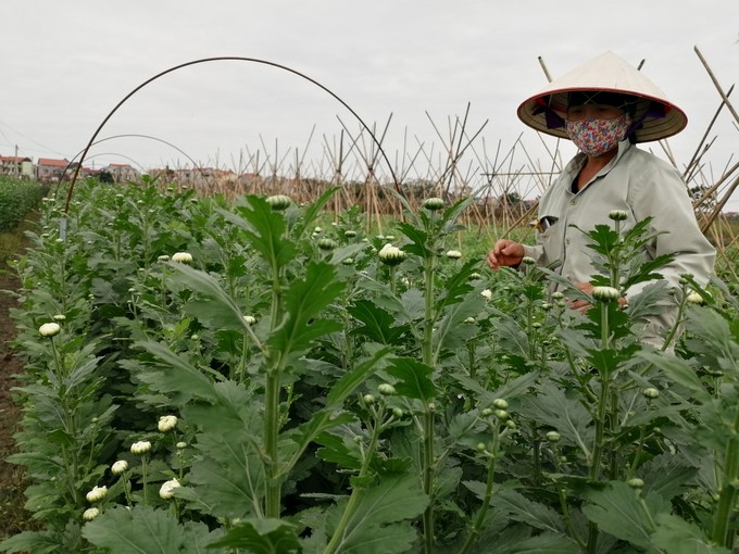 122922 nhung cau hoi 1