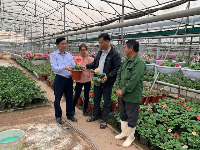 011623 hieu qua tu mo hinh hoa dong tien 2