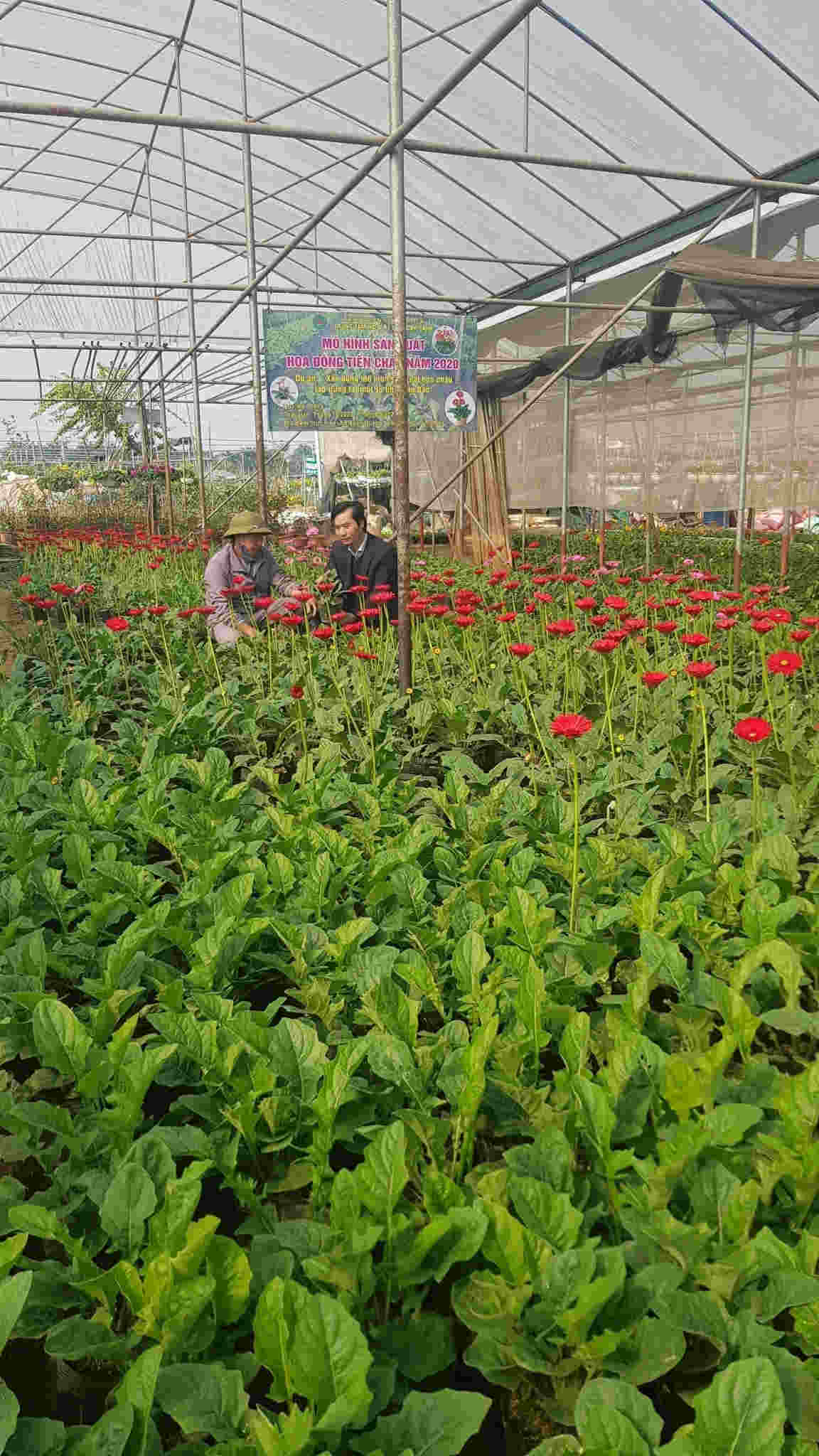 011623 hieu qua tu mo hinh hoa dong tien 3