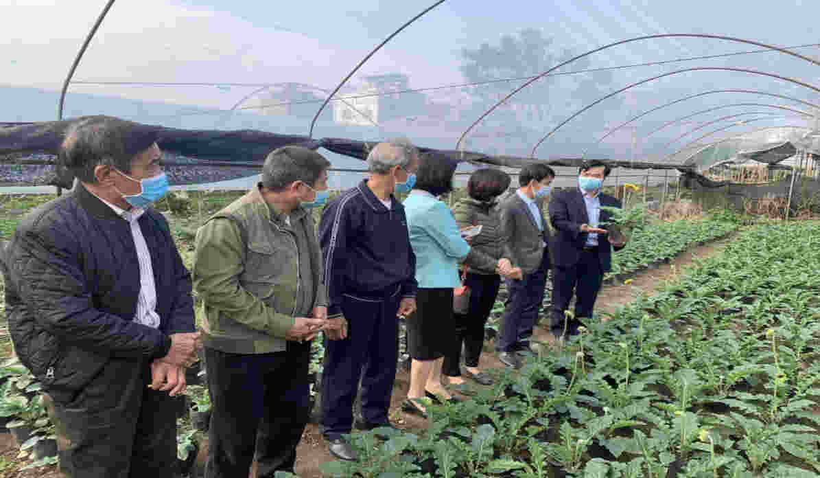 011623 hieu qua tu mo hinh hoa dong tien 4