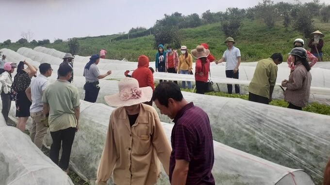 021523 mang phu 3