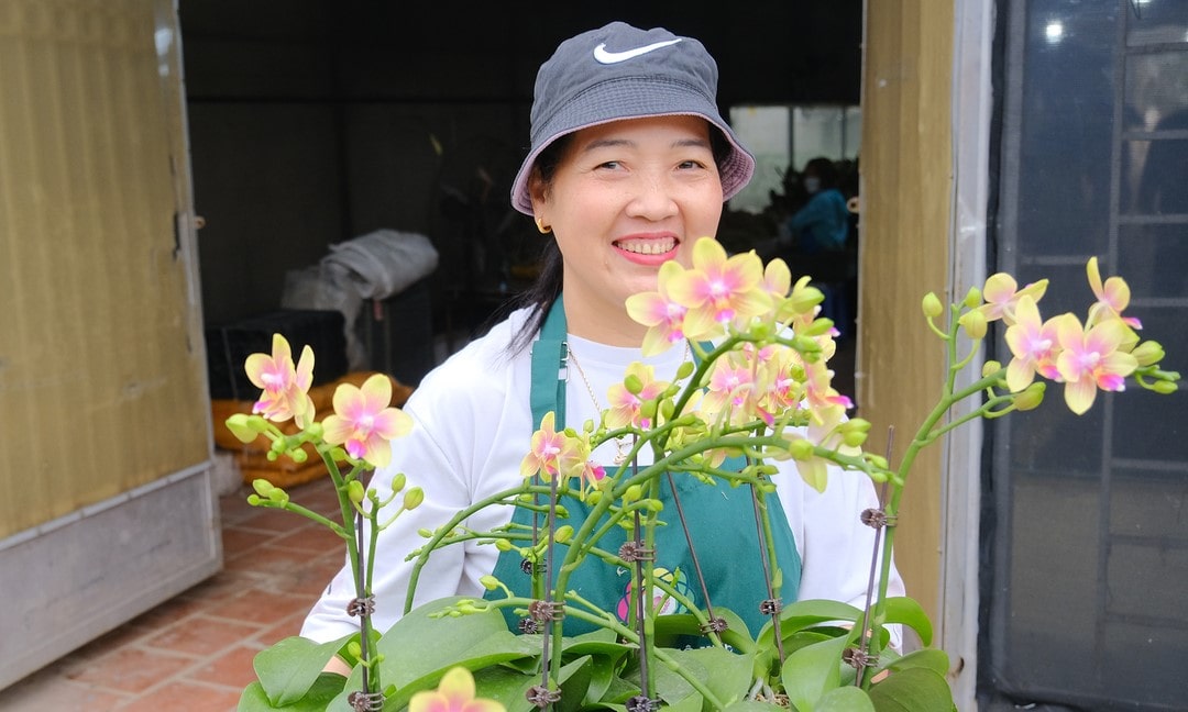 030723 ve noi cung ung 1