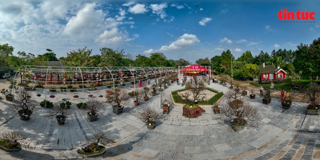 012224 hoi thi dao 12